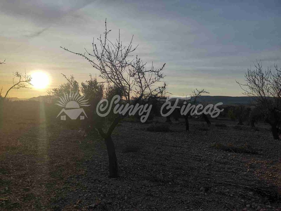 Terra em Biar, Alicante - foto 5
